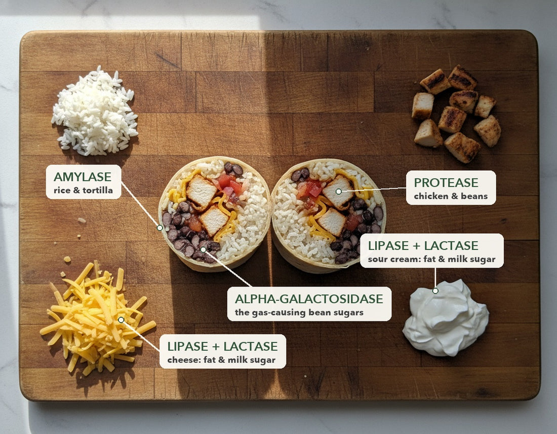 A burrito cut in half on a board, with its rice, chicken, beans, cheese and sour cream labelled with the enzyme that breaks each one down